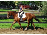 Abydos Farms