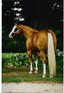 TEGTMEIER PAINT HORSES