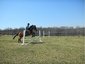 M&L Stables