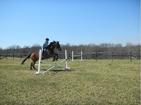 M&L Stables