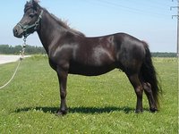 Twisted E Ranch