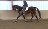 Thunder Crest Performance Horses