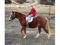 Sar Shalom Stables
