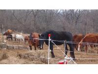 sldavidsonfarms.
