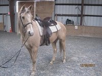 Zoar Ridge Stables