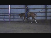 Precision Training LLC