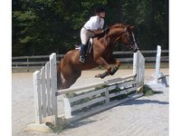 Pegasus Riding School