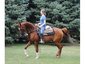 Stubborn Elm Ranch