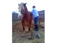 S&H Ranch