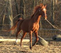 TNM Ranch