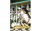 5 & Dime Show Stables