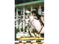 5 & Dime Show Stables