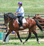 Blackshire Eq Centre