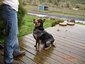 McMurtry's Poco Belle Ranch