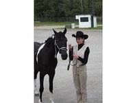 Stone Hedge Stables