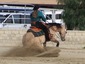 KC Haven Horse Rescue & Ranch