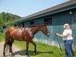 Chanticleer Farm