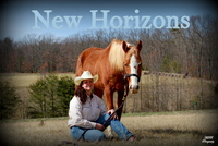 New Horizons Equine Rehabilitation Services
