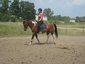 Twisted Willow Equestrian
