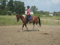Twisted Willow Equestrian