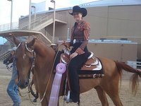 Vinson Arabians