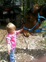 R & P PRICE FARM