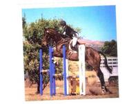 ruffian Stables