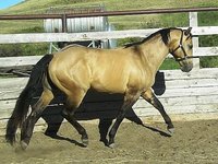 WF Bar Ranch