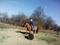 cross fire ranch