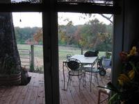 Painted Pony Ranch