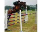 B&B Stables
