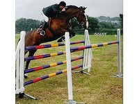 B&B Stables