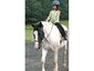 KMJ Ranch
