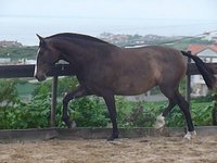 YEGUADA EL CIERRO