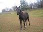 TimberBrooke