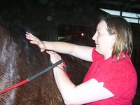 Elemental Equine Services