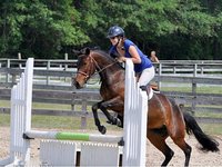 Equitation Et Cetera