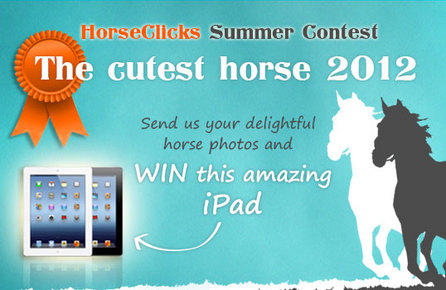The cutest horse 2012 - Winner Jamie Bailey from Springfield, Louisiana