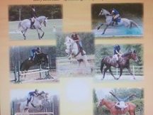 Carolina Sport Horses_64