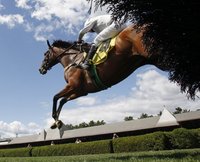 Horse illness not found beyond Saratoga track