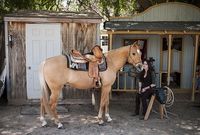 Celebrating horse and rider at Stoney Point Ranch in Chatsworth
