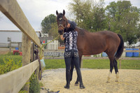 Woodbine-based horse farm aids distressed animals