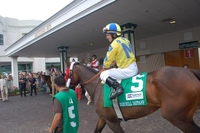 Start Planning For 2013 Kentucky Derby Now