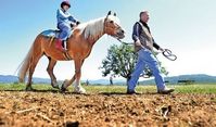 Hope Equestrian Center adding horse arena