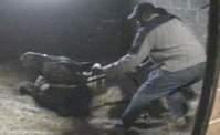 Horse maimers deserve no mercy