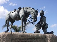 Horses fought our wars, and now they need your help as thousands face slaughter Horses fought our wars, and now they need your help as thousands face slaughter
