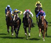 Jockeying for Genetic Advantage: DNA Analysis to Evaluate Thoroughbreds