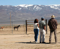 Mustang Advocates: Gather Jeopardizes Pregnant Mares, Foals Mustang Advocates: Gather Jeopardizes Pregnant Mares, Foals