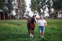 The Saddle