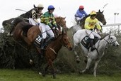 British horse racing head warns against knee-jerk reaction after 2 horses die in National